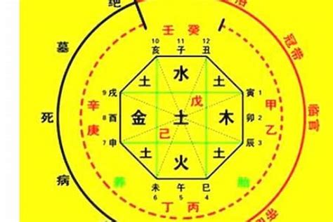 天干地支 算命|生辰八字算命、五行喜用神查询（免费测算）